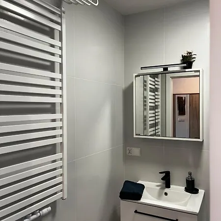 Goscinne Fabio 霍伊尼采