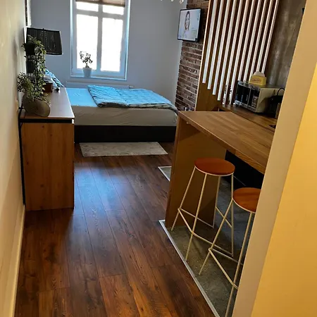 Goscinne Fabio * Chojnice