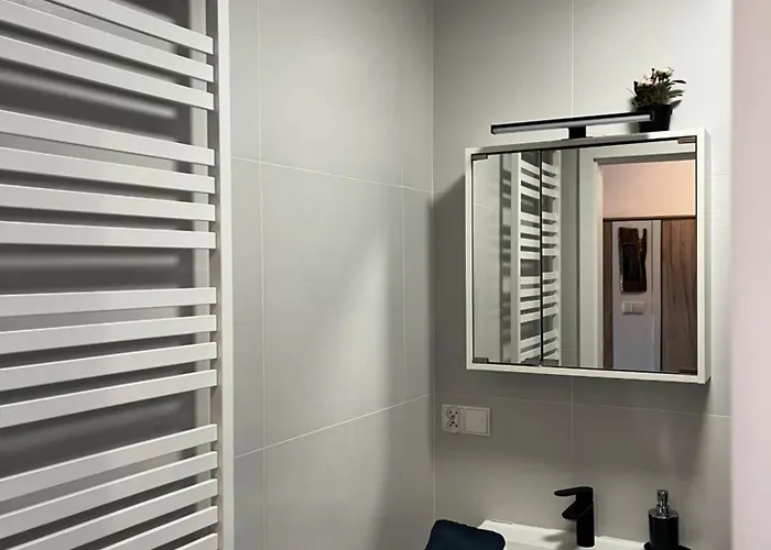 Goscinne Fabio Chojnice